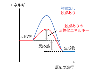 化 エネルギー 活性