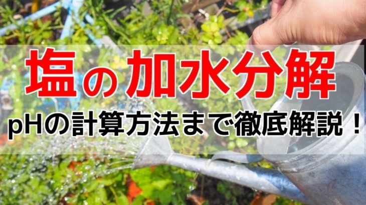 塩の加水分解とは？pHの計算方法まで徹底解説！