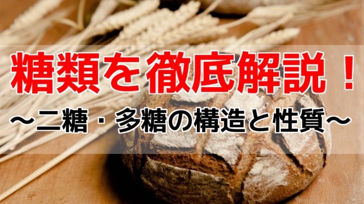 糖類の名前・性質・構造式の覚え方！【二糖・多糖編】