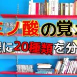 【高校化学】アミノ酸の簡単な覚え方！【20種類総まとめ】