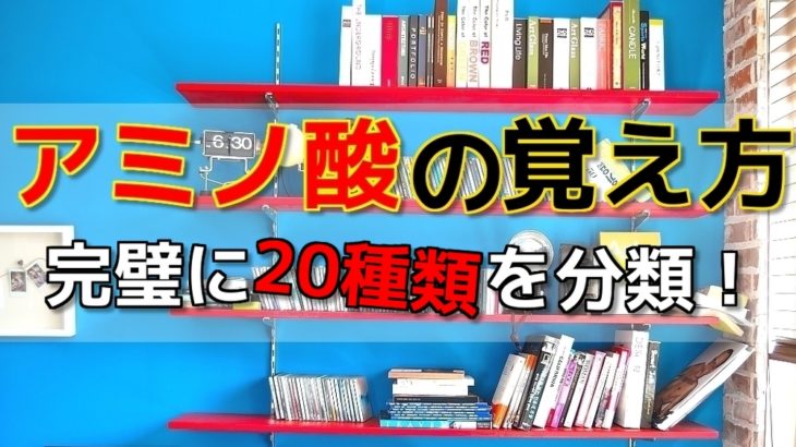 【高校化学】アミノ酸の簡単な覚え方！【20種類総まとめ】