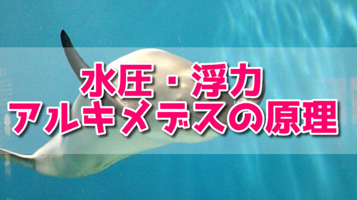 浮力とは？アルキメデスの原理を解説！